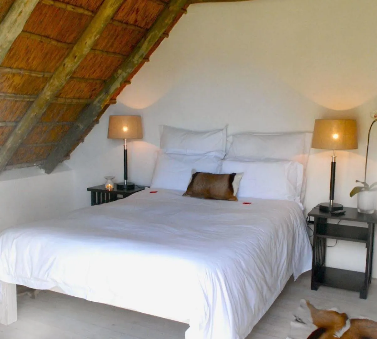 Zensa Lodge Cape Town 0*, Simon's Town